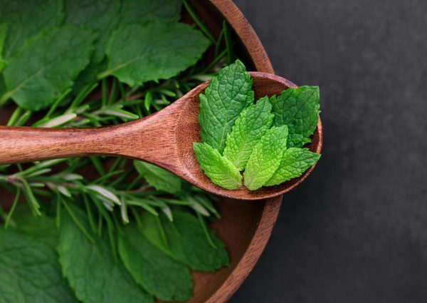 Close-up of fresh mint leaves in a wooden spoon surrounded by herbs. Ideal for culinary and organic themes.